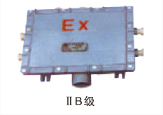 BXJ系列防爆接線(xiàn)箱